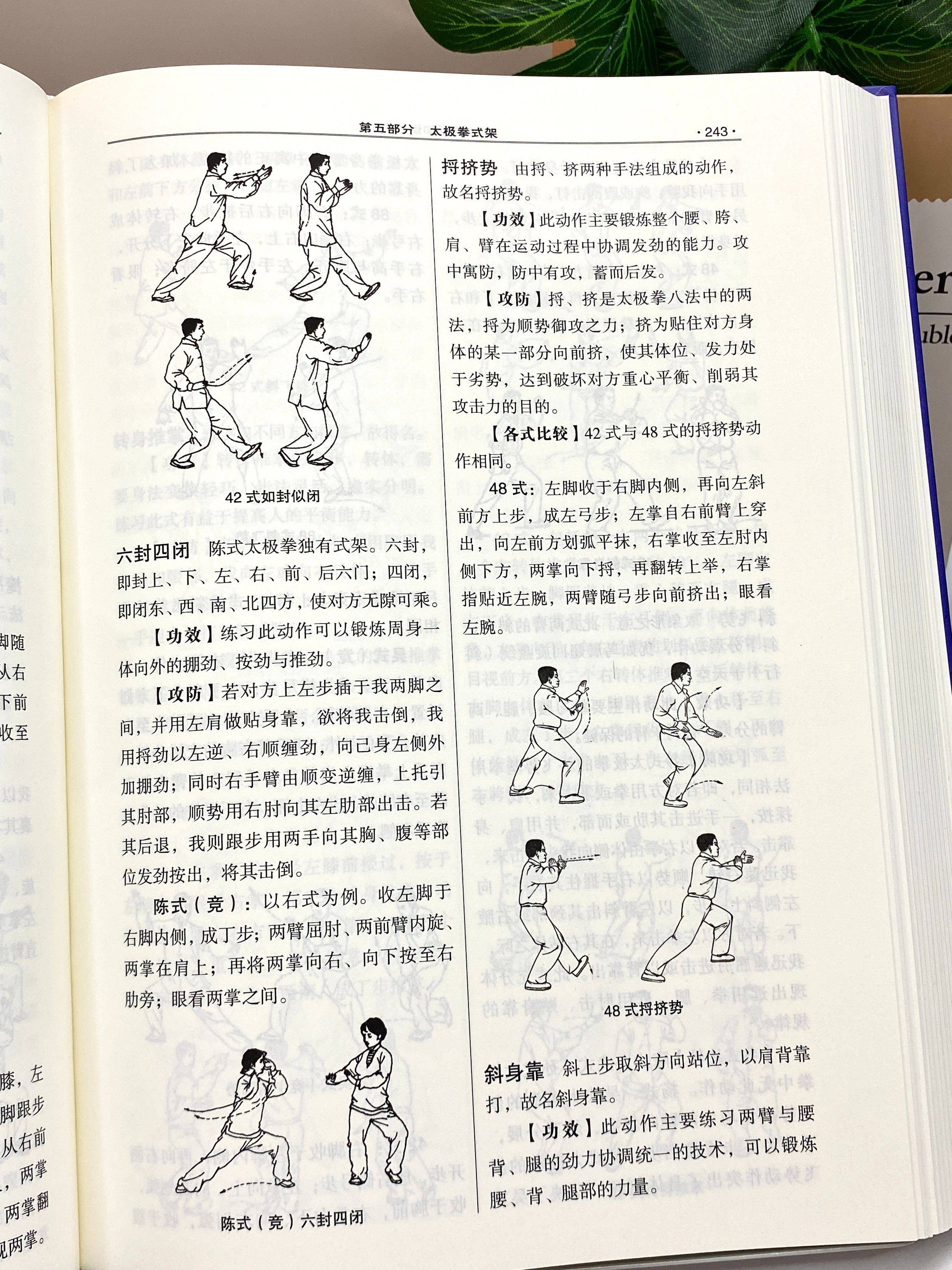 养生太极拳初学入门视频完整版下载安装的简单介绍