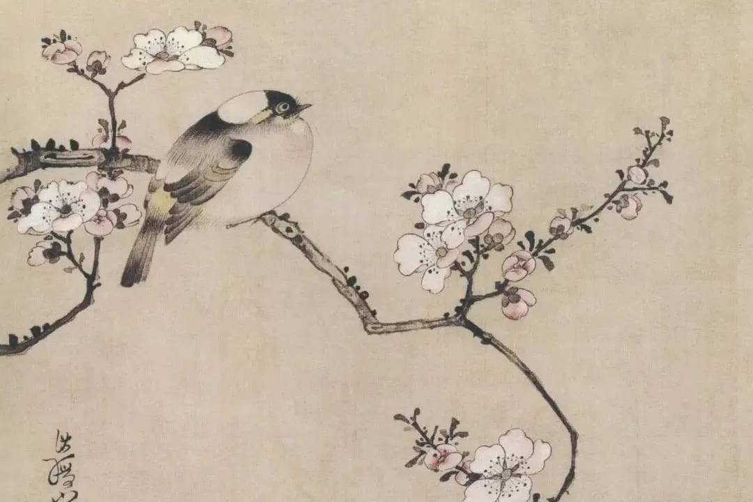陈洪绶：花鸟册二十开_cm_绢本_上海博物馆