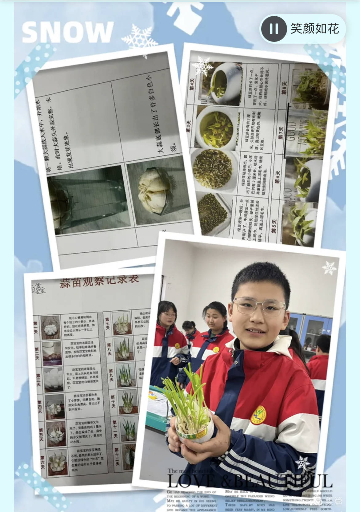 观察一种植物并记录下来生物(观察一种植物完成下面的植物观察记录卡)