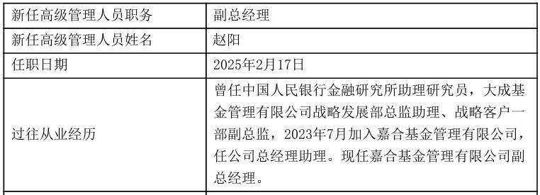 嘉合基金迎来新任副总经理 股票型基金跑输业绩比较基准17个百分点