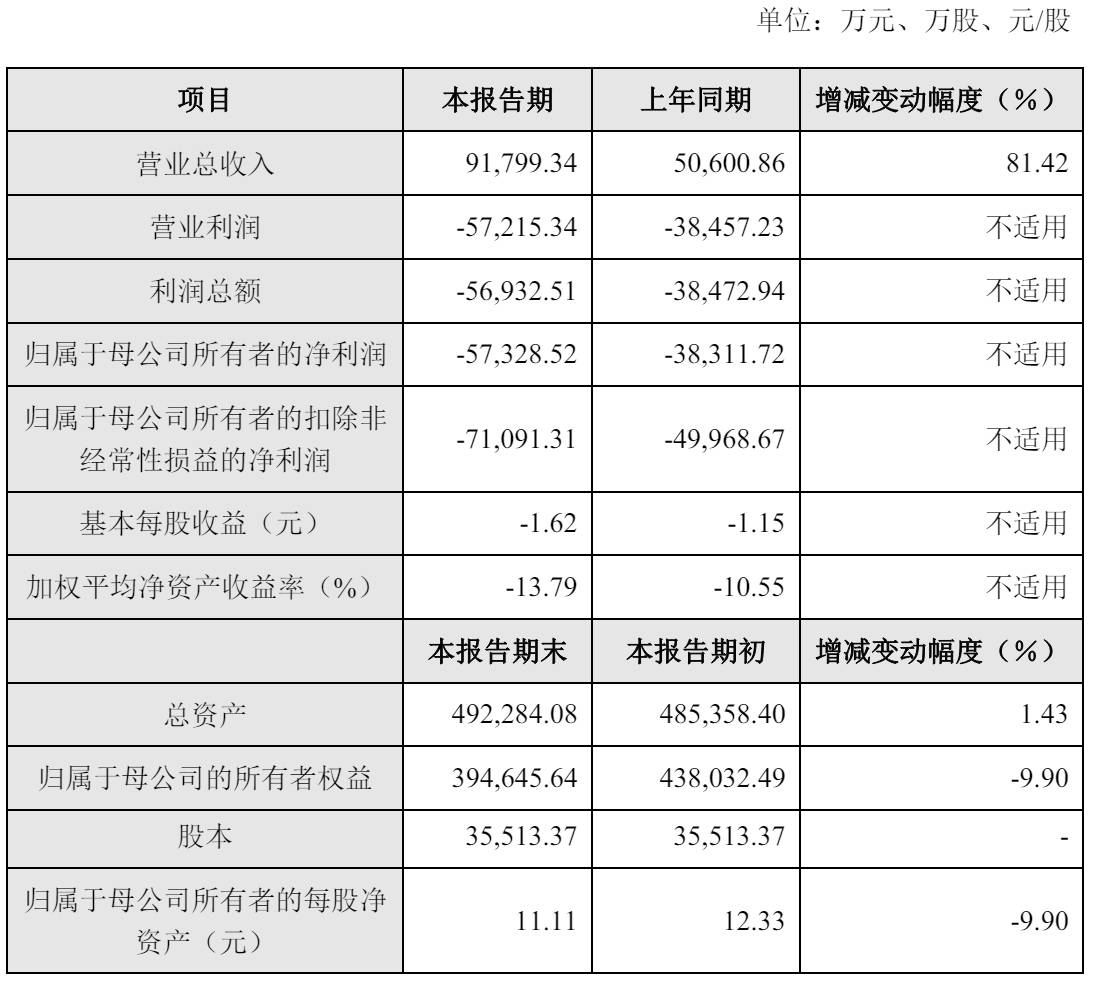 云天励飞年营收9.2亿：因并入岍丞技术，扣非后净亏7.1亿