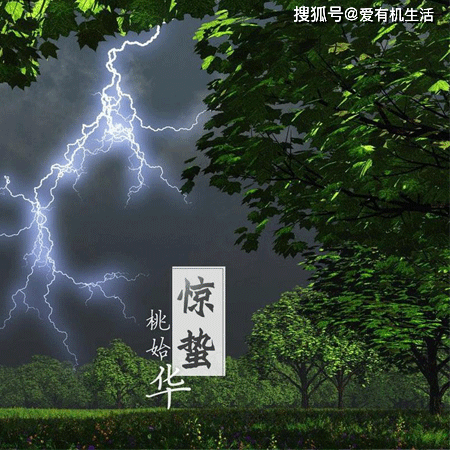 原创            惊蛰吃什么风俗食物？（惊蛰吃啥啊）
