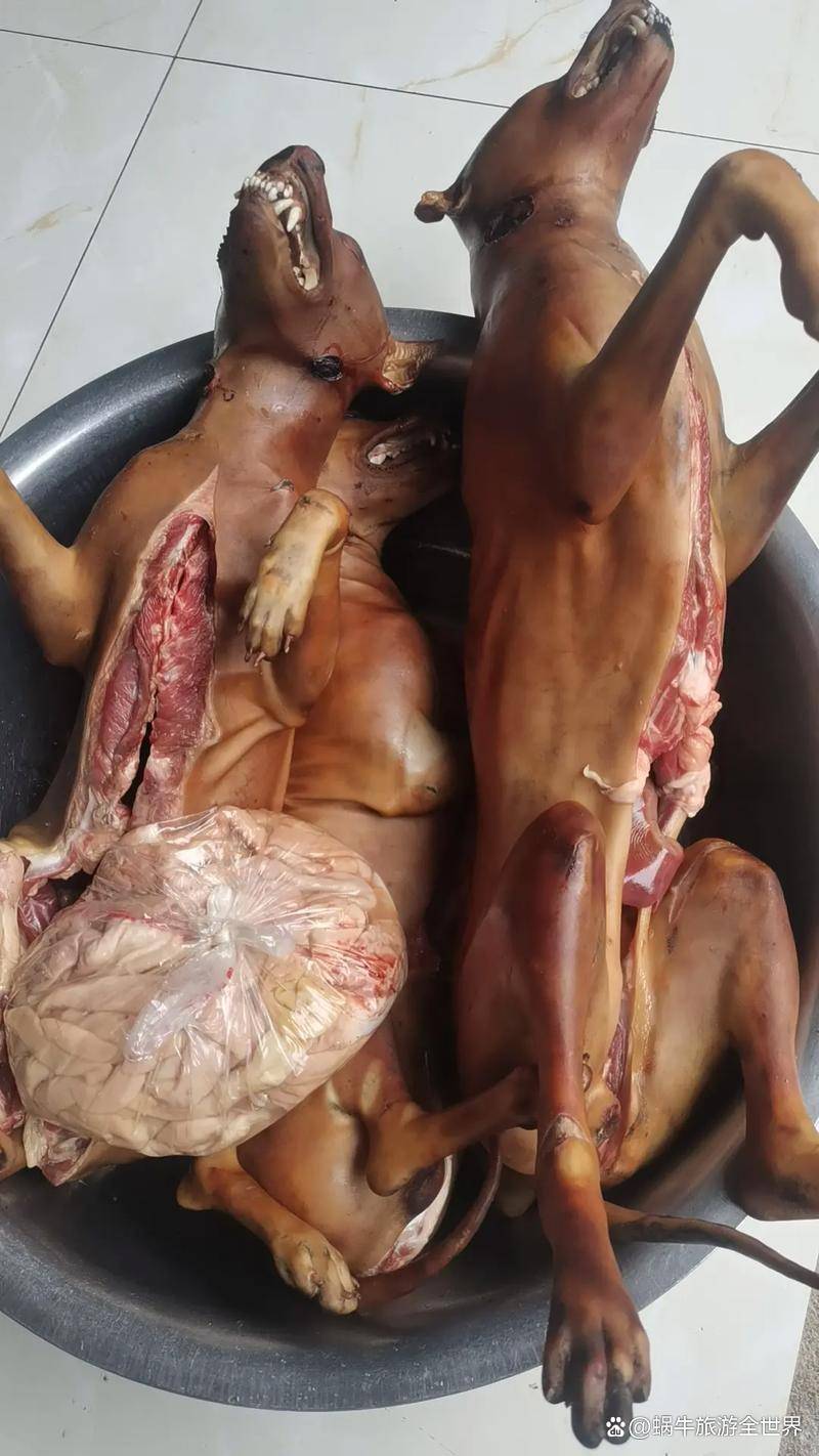 狗肉怎么做才不腥?这些细节千万不能忽略