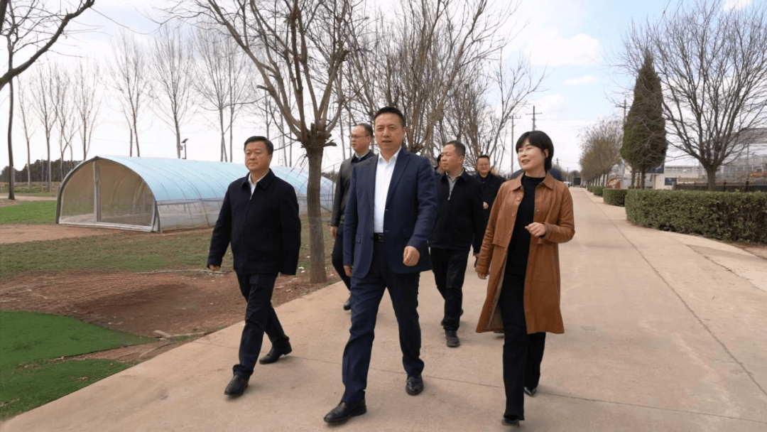 宝鸡市凤翔区区长刘维军调研农业特色产业发展情况_长青镇_研究_品牌