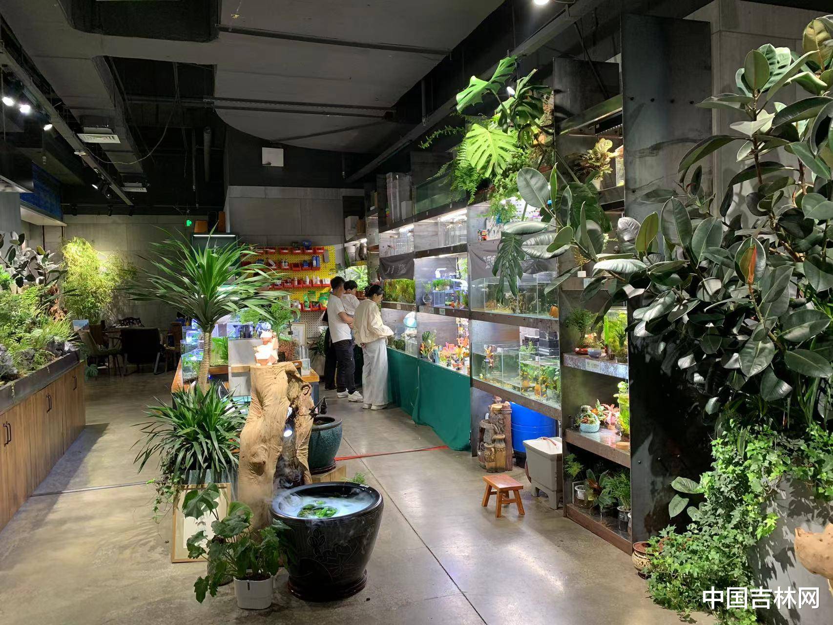 探秘吉林新华书店：老牌书店的创新转型之路