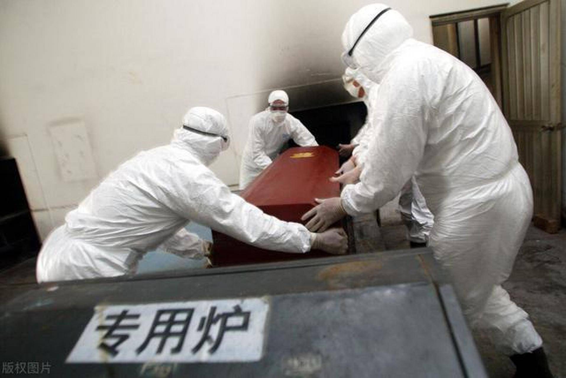 牙齿是人最坚硬的器官,为啥在火化炉里只能捡到骨头,牙齿哪去了
