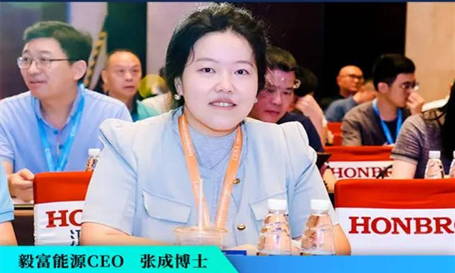 专访丨毅富能源CEO张成博士：液流电池的使命是“平替”抽水蓄能