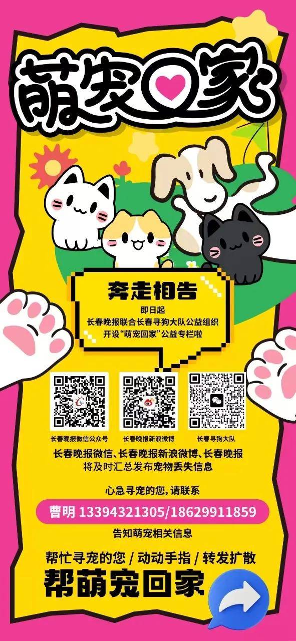 多只萌宠走失，期待大家助力团圆