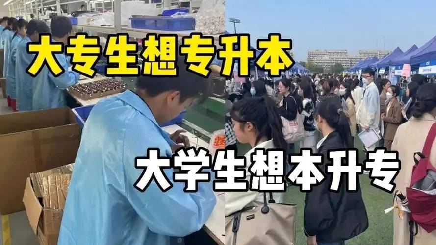 大专生就业新选择，这些行业潜力无限