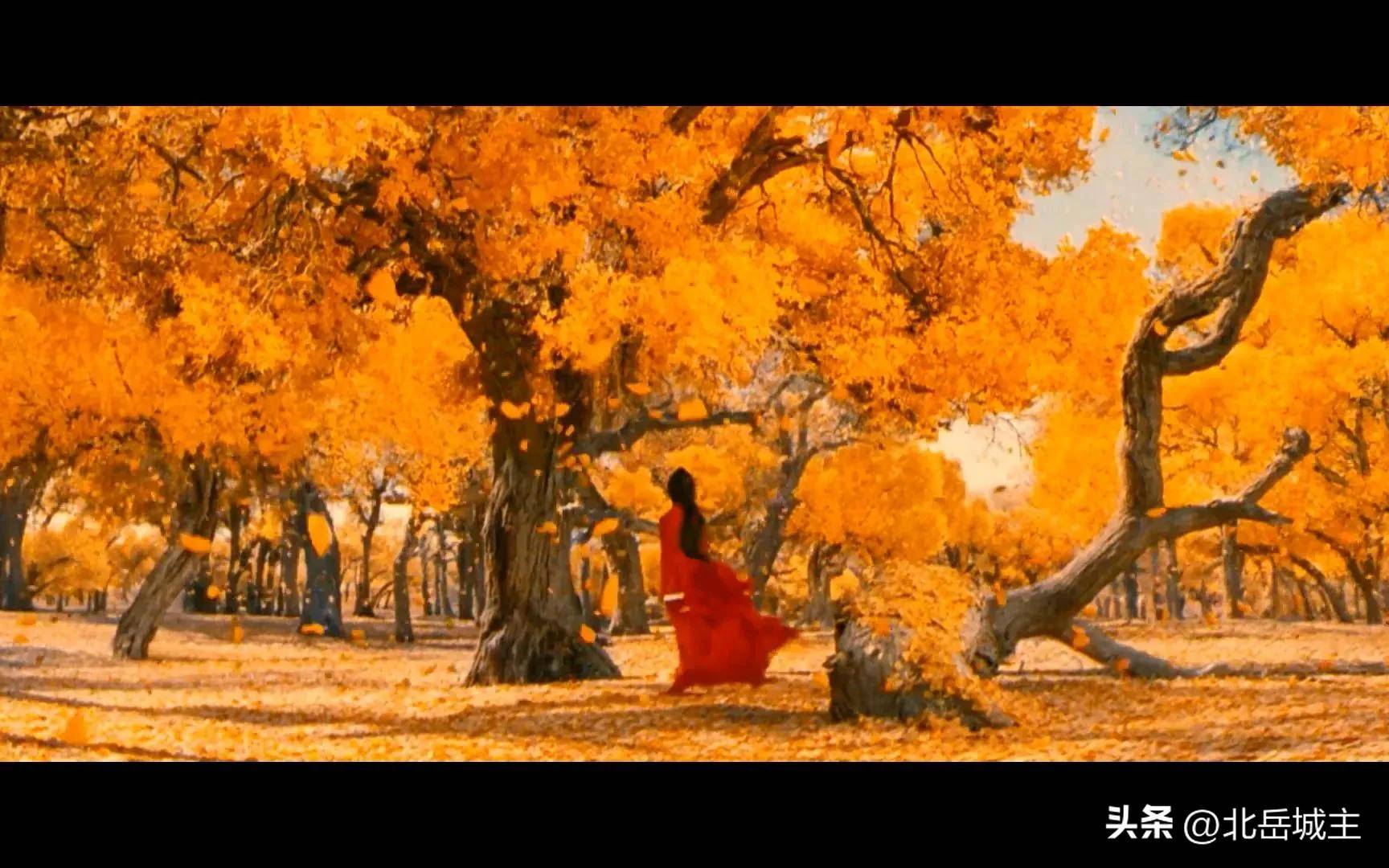 张艺谋绝对是开启大片时代的《英雄》