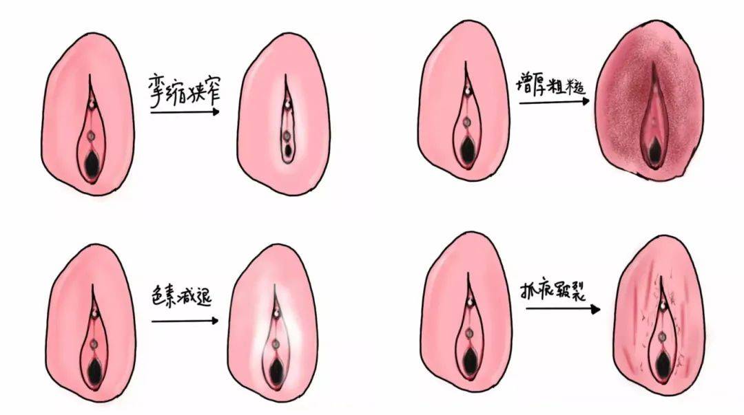来自搜狐网