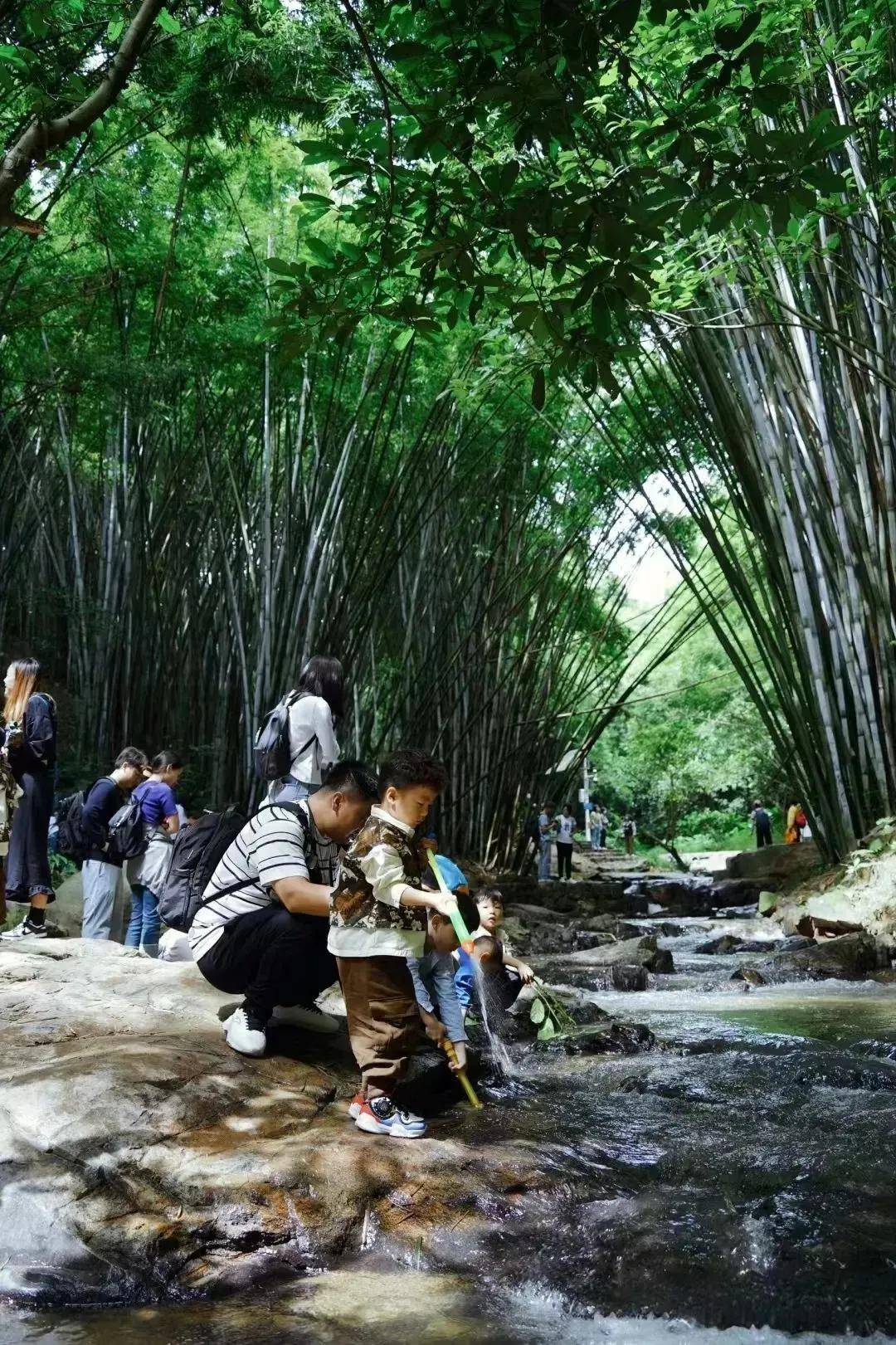 前半段翠竹绿树偶尔还能看到很多小动物长岭国家登山健身步道位于