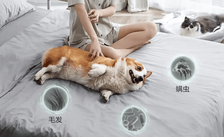 除螨仪什么牌子好用又实惠？2025精选5大高口碑除螨仪推荐