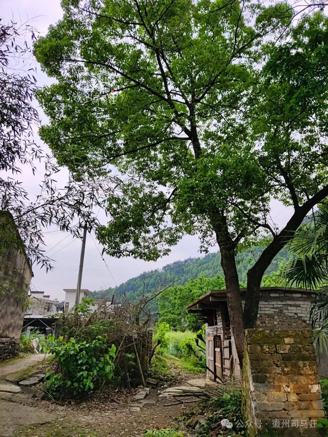 节目里面讲述的是从昌溪一路去深渡的村落开头几句是昌溪府坝潭县