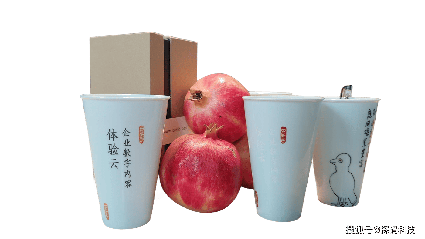 内容管理系统(CMS)SEO优化实战指南（学到了吗）