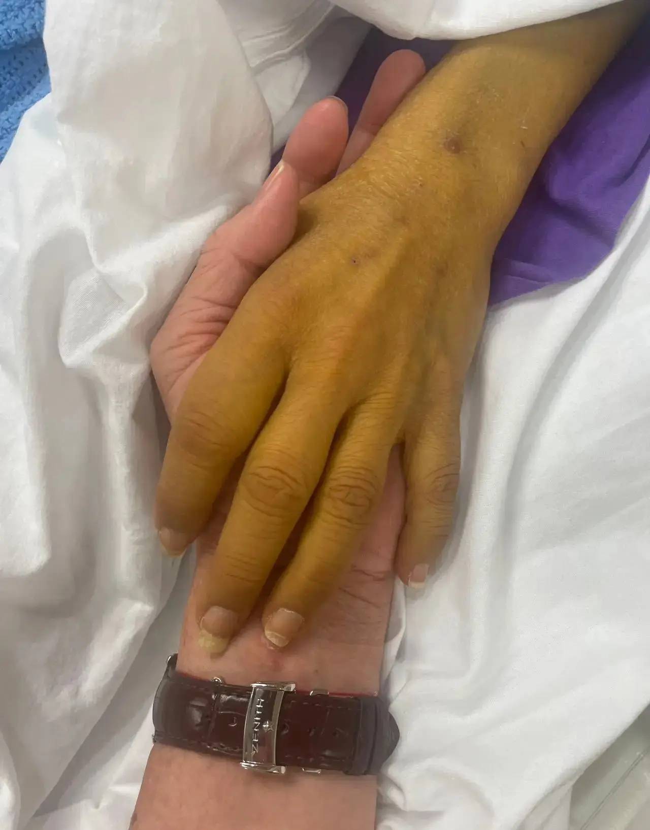 授权汉化】Revenants | 还魂猎者#01_13 by 305寝- WildDream创作站, image size:1280x1635