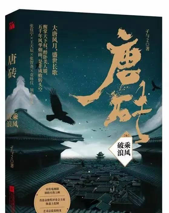 深度解析历史网络文学的封神之作：从新宋到窃明的经典之路
