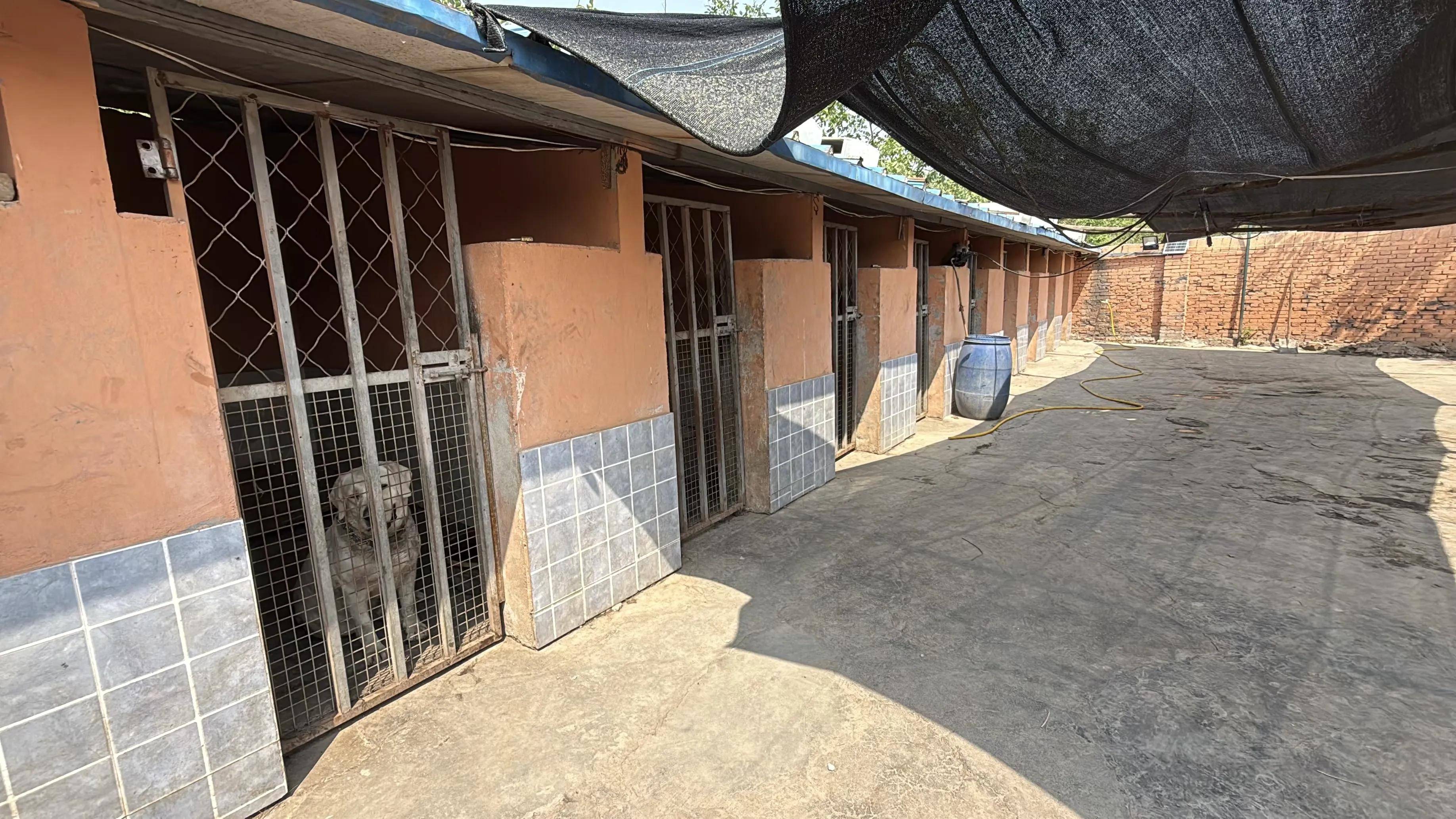 焦作市正航训犬基地