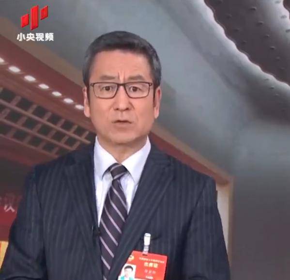 央视新闻白岩松(央视新闻白岩松对张兰的评价)