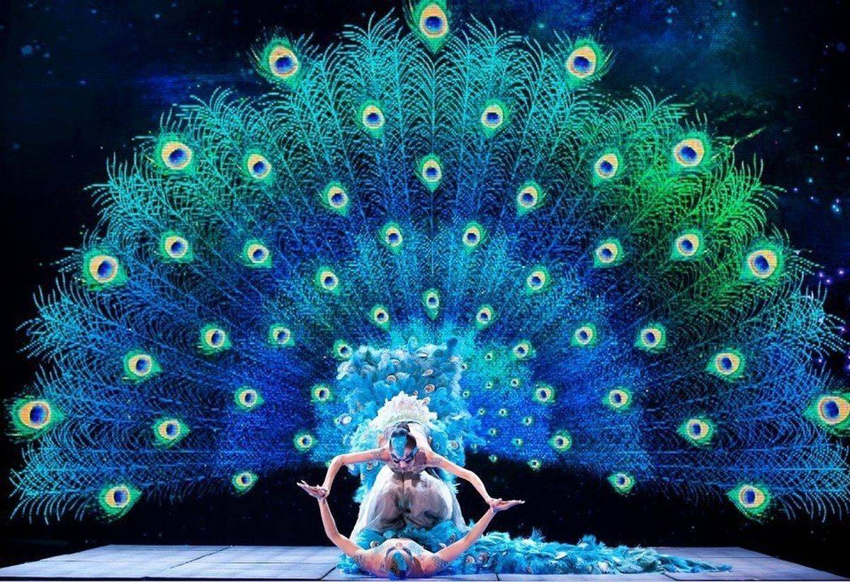 舞蹈家杨丽萍：孔雀舞代表人物，以原生态舞蹈享誉国际_搜狐网, image size:1200x822