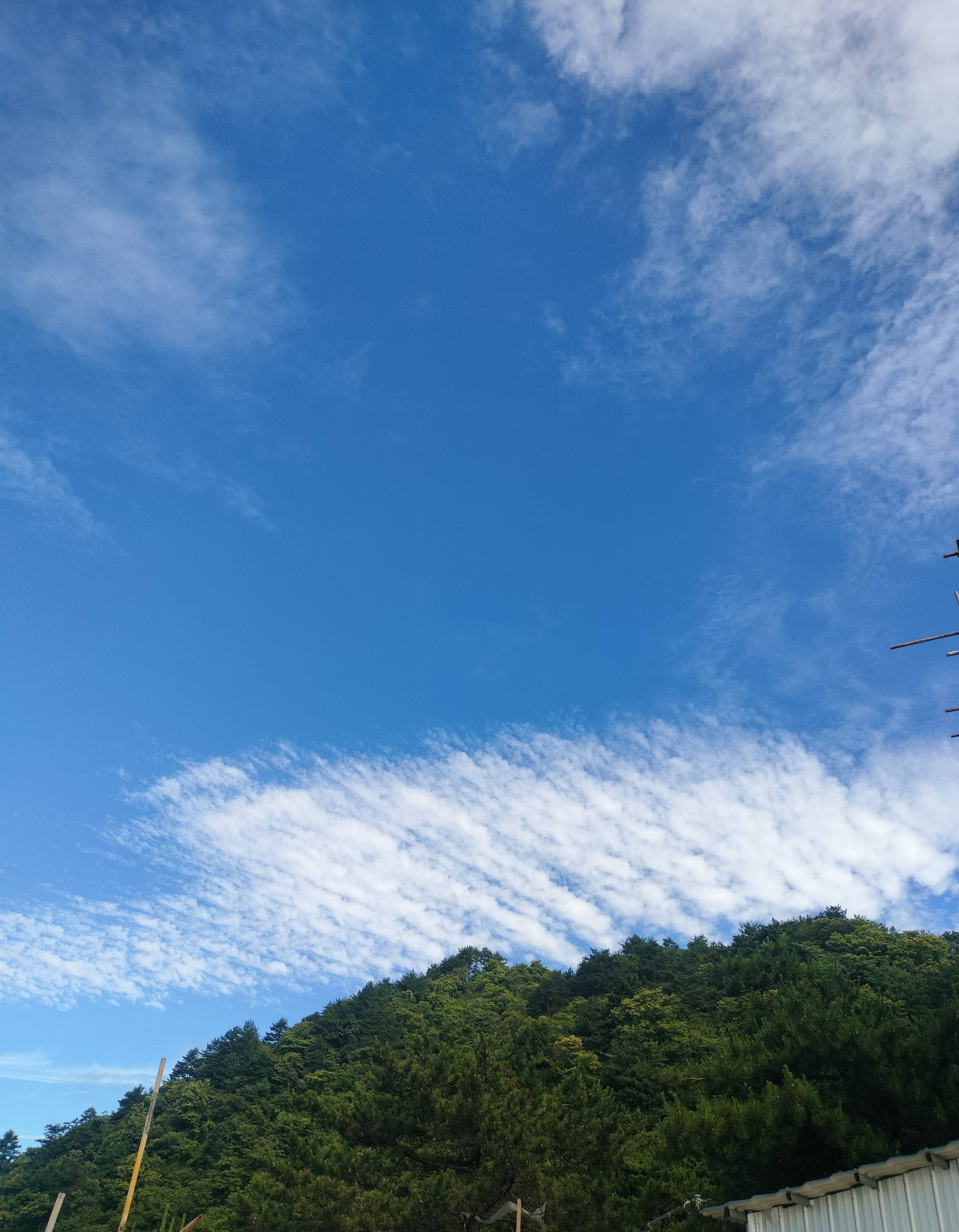 牛草山：风车与云海的浪漫约会_牛草山：风车与云海的浪漫约会_