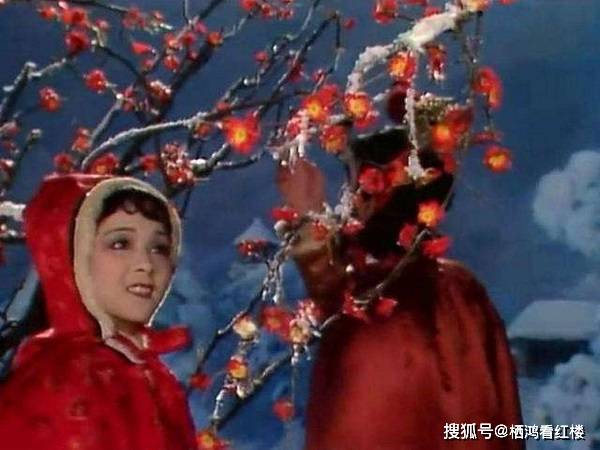 贾母王夫人同宝玉的关系_贾母安排宝玉婚事_