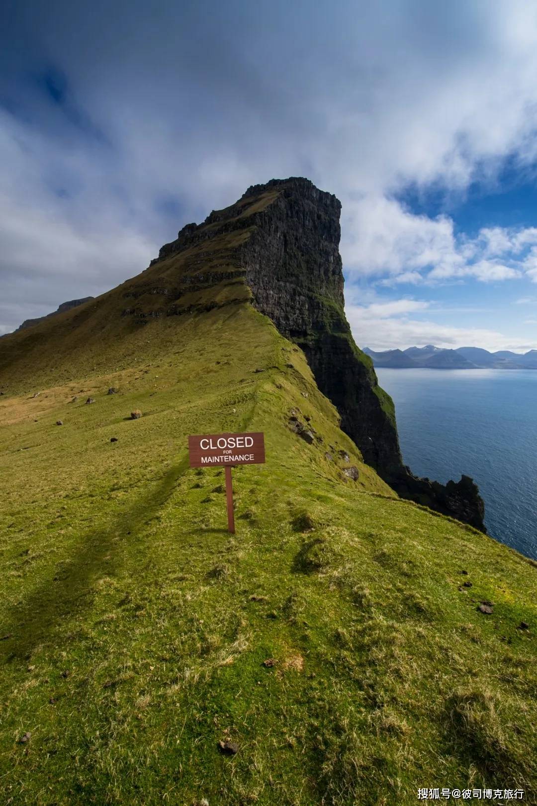 开普敦：Aquila 野生动物保护区日落野生动物园之旅（含小吃） | GetYourGuide, image size:1080x1620