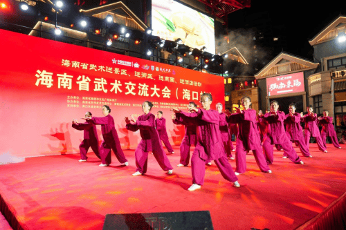 6月21日海口武术盛事震撼开场！刚柔相济