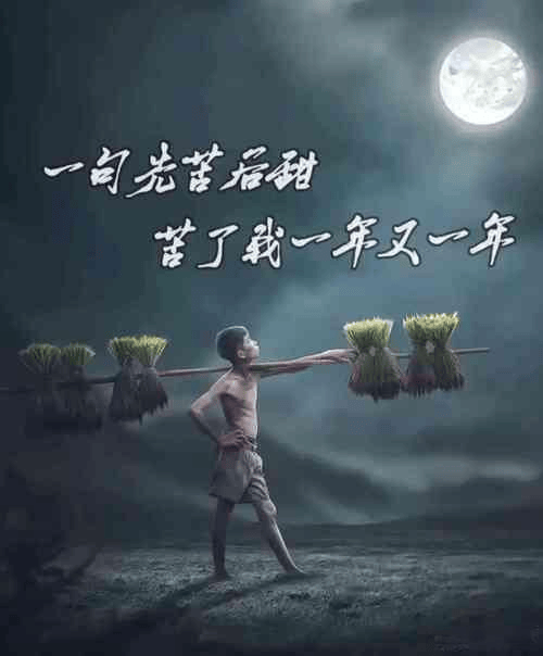 图片[4]-营销战略决策：为何总爱 “拍脑袋”？-中小企实战运营与营销工作室