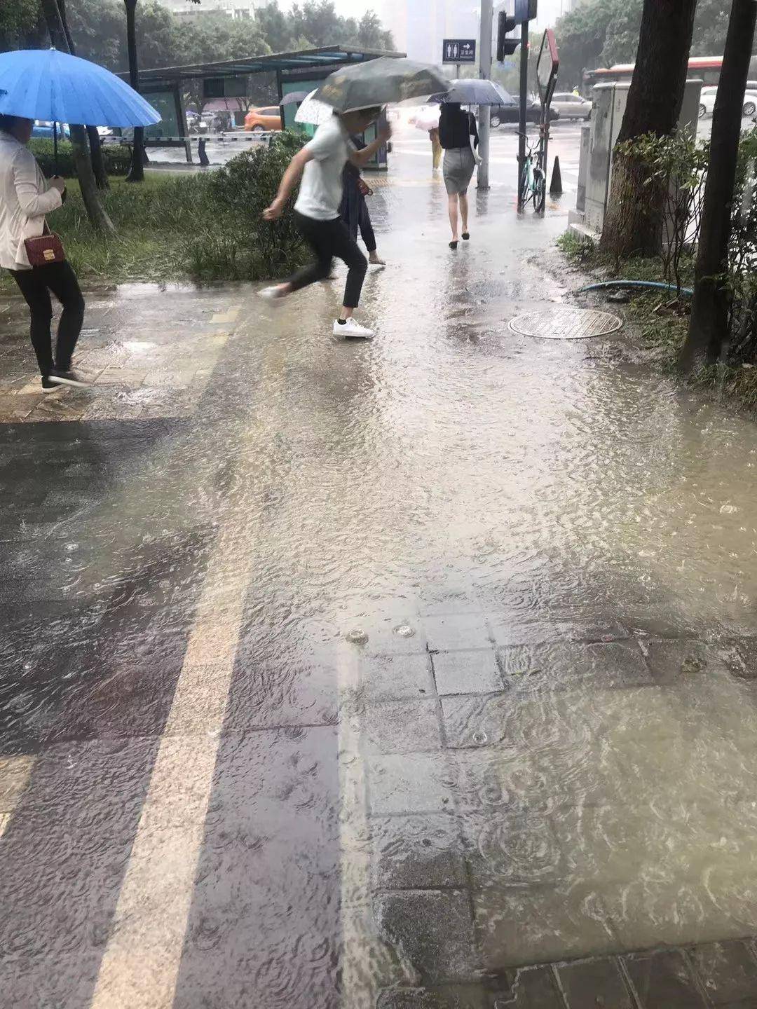 成都暴雨:风雨中的城市百态与应对