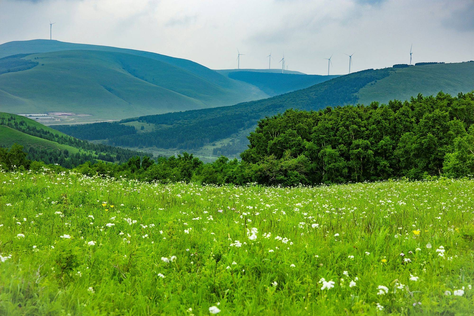 承德丰宁云上天路,穿越云端,驰骋天地,领略坝上草原的无限风光