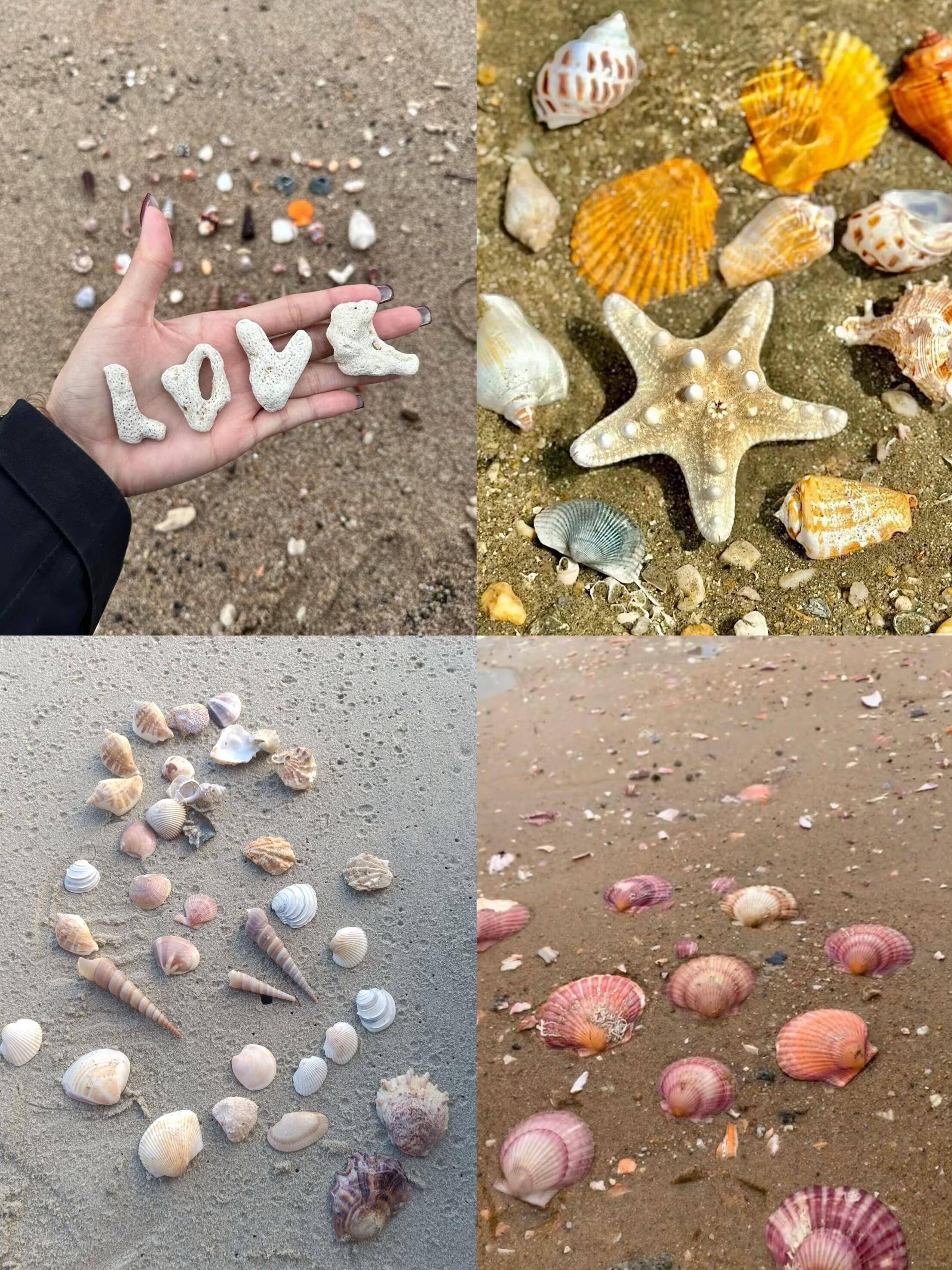 ➡️位置:东港区任家台海鲜楼南100米📍任家台礁石公园