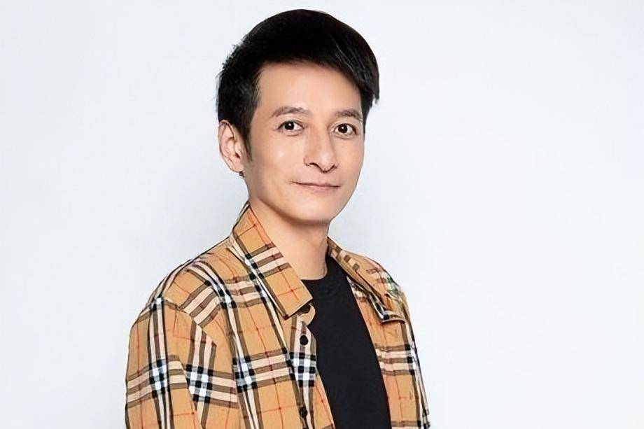 节目停播即失业,主持人到"精神病",李维嘉为何深陷低谷