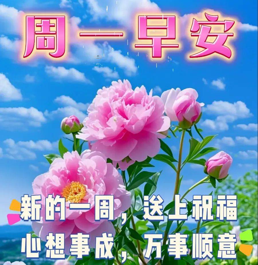周一早安早上好最美祝福图片精选,早安问候暖心间,快乐与你共前行!