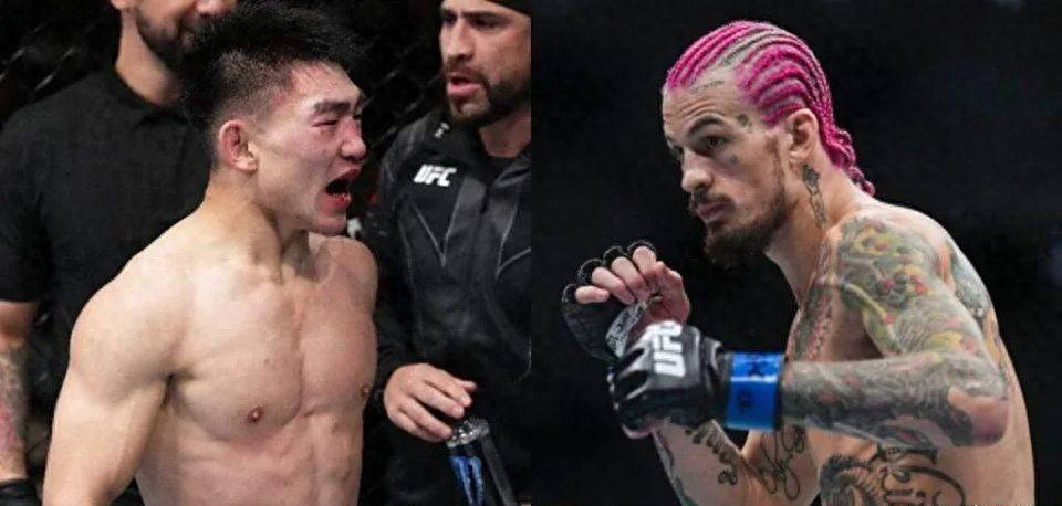 宋亚东VS奥马利：UFC雏量级巅峰对决即将上演