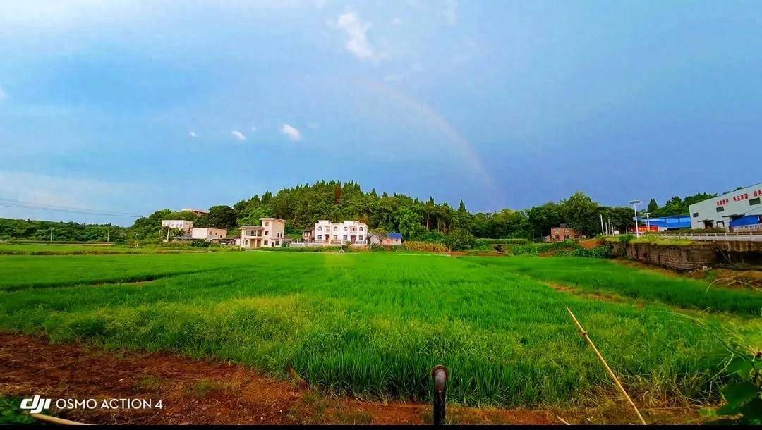 ʯļ硷ȫߣżԴ׳ڽʯ