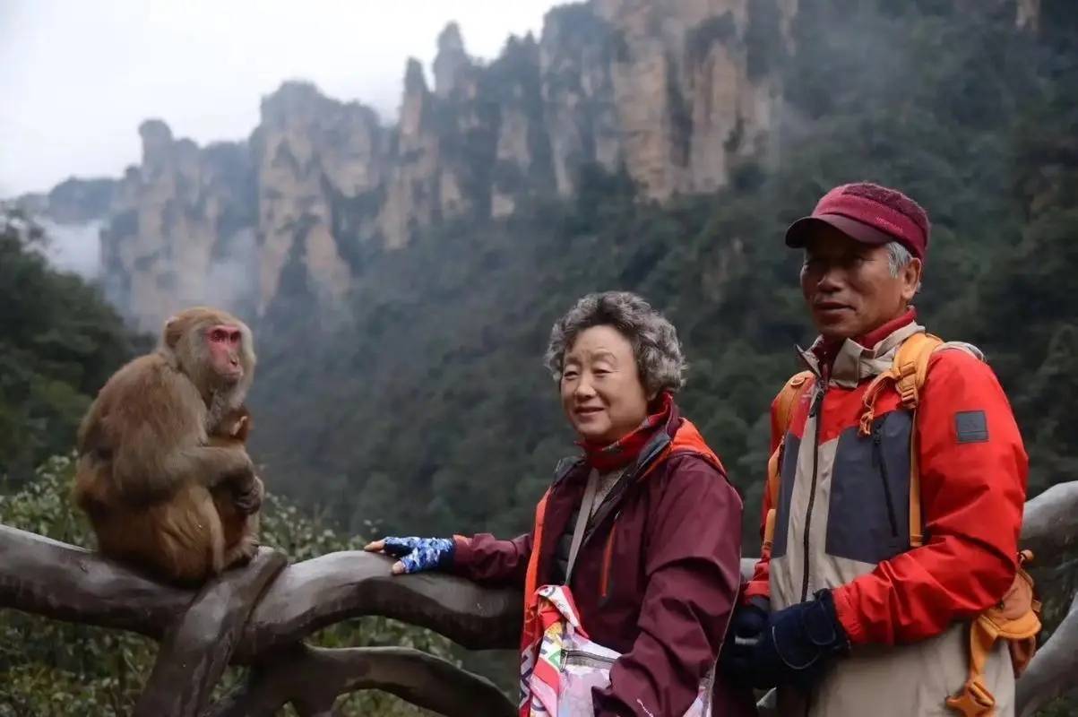 图片[4]-大量的韩国人涌入湖南，网友：这里都快要被韩国人“占领”了-华闻时空