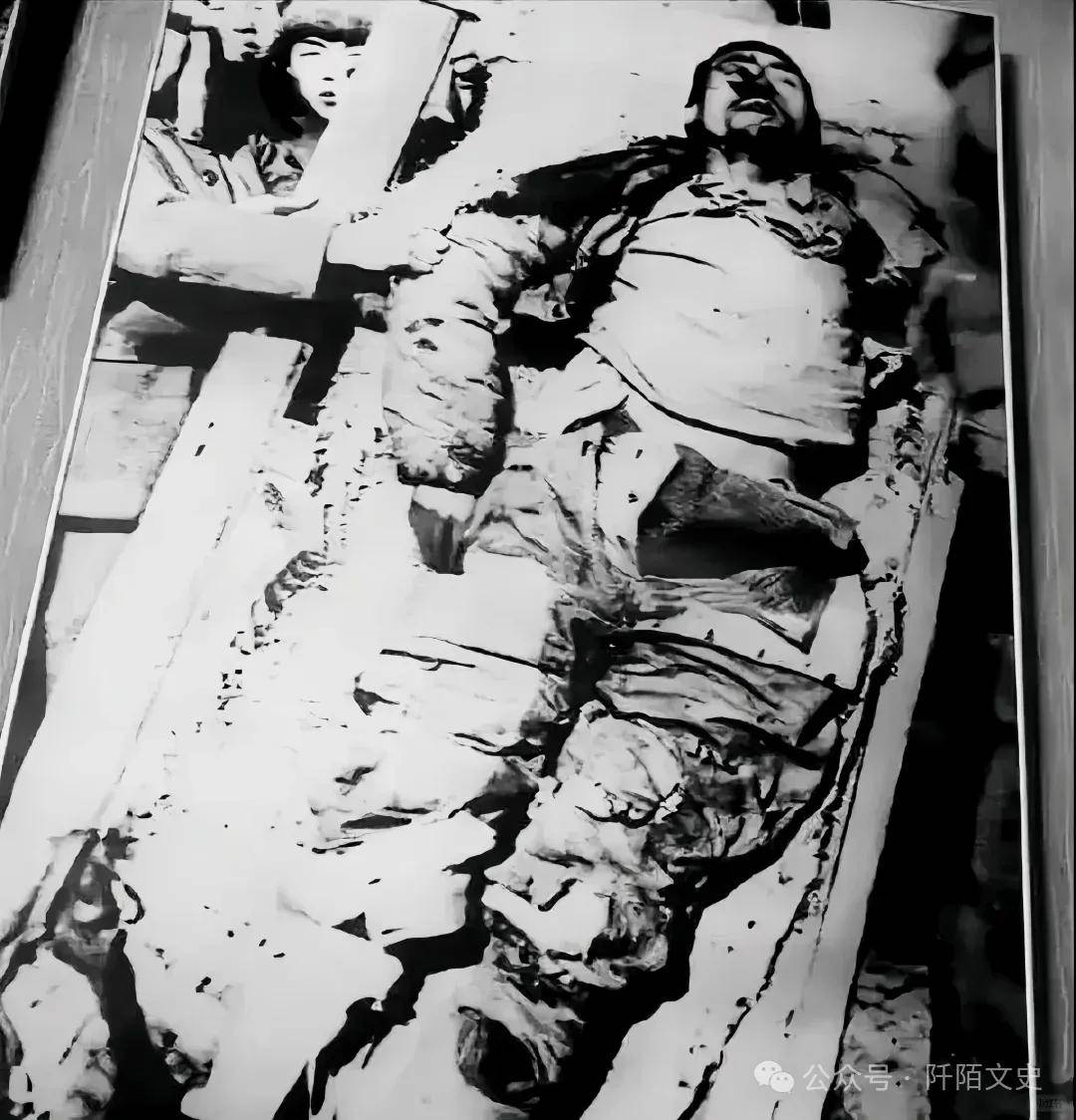 一特务受审时语出惊人:"害死杨靖宇的叛徒在当官"