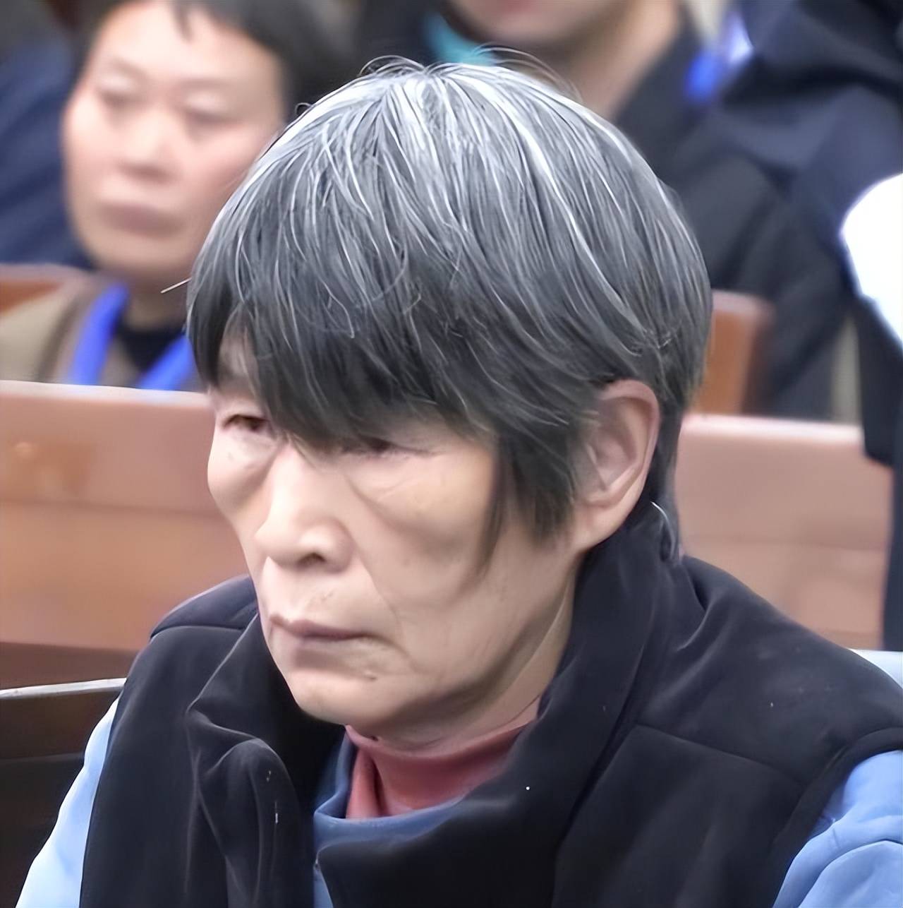 2016年,张维平终于落网,但他提供的线索让警方发现梅姨的存在