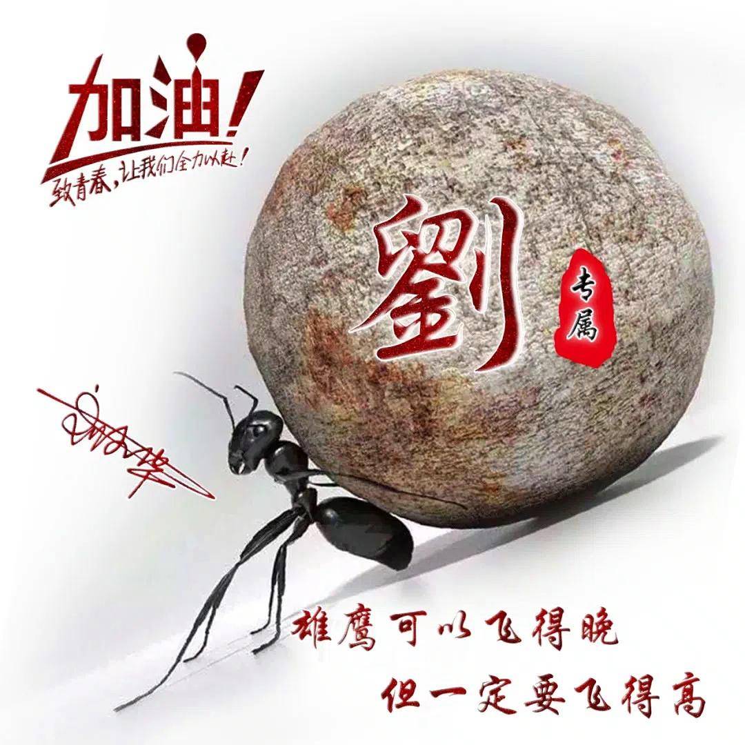 2025姓氏头像已送达!日进斗金励志签名款,人生靠自己