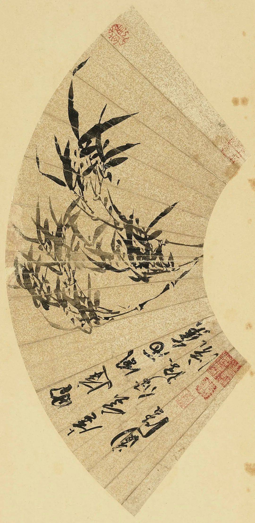 陈淳画扇选萃丨私享艺术