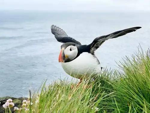 图片[7]-终于开放免签！旅游控的终极胜地，直达“世界尽头”的机会真的来了！ -华闻时空