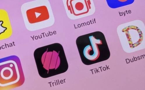 深度剖析TikTok公会申请的步骤