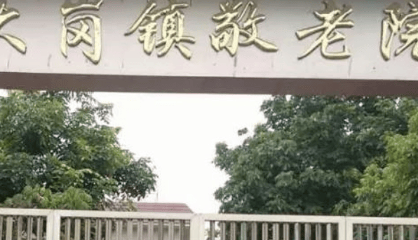 广州南沙区大岗镇有哪些养老院,广州南沙区大岗镇养老院名单汇总