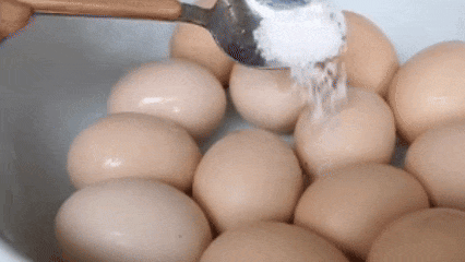 蒲公英煮鸡蛋,没想到作用这么厉害,我也今天才知道,省钱又实用