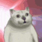 mur猫表情包火爆网络