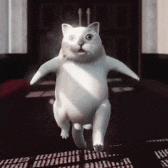 mur猫表情包火爆网络