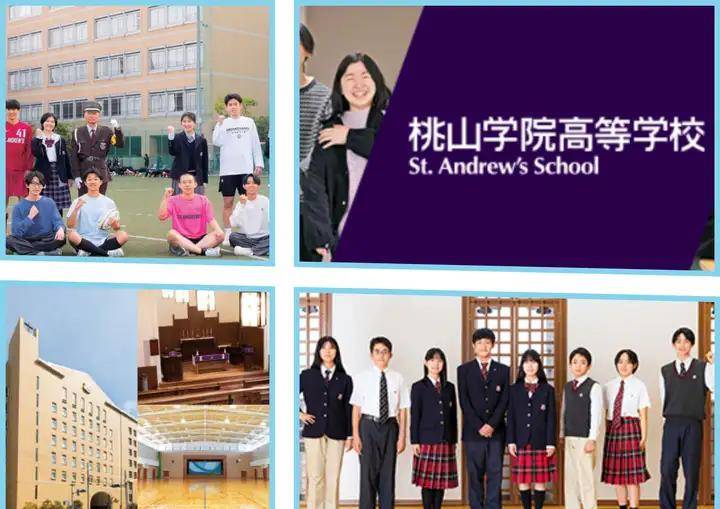 请输入图片描述