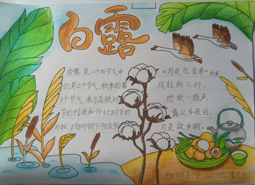 —濮阳市昆吾小学二十四节气主题课程之"白露"篇