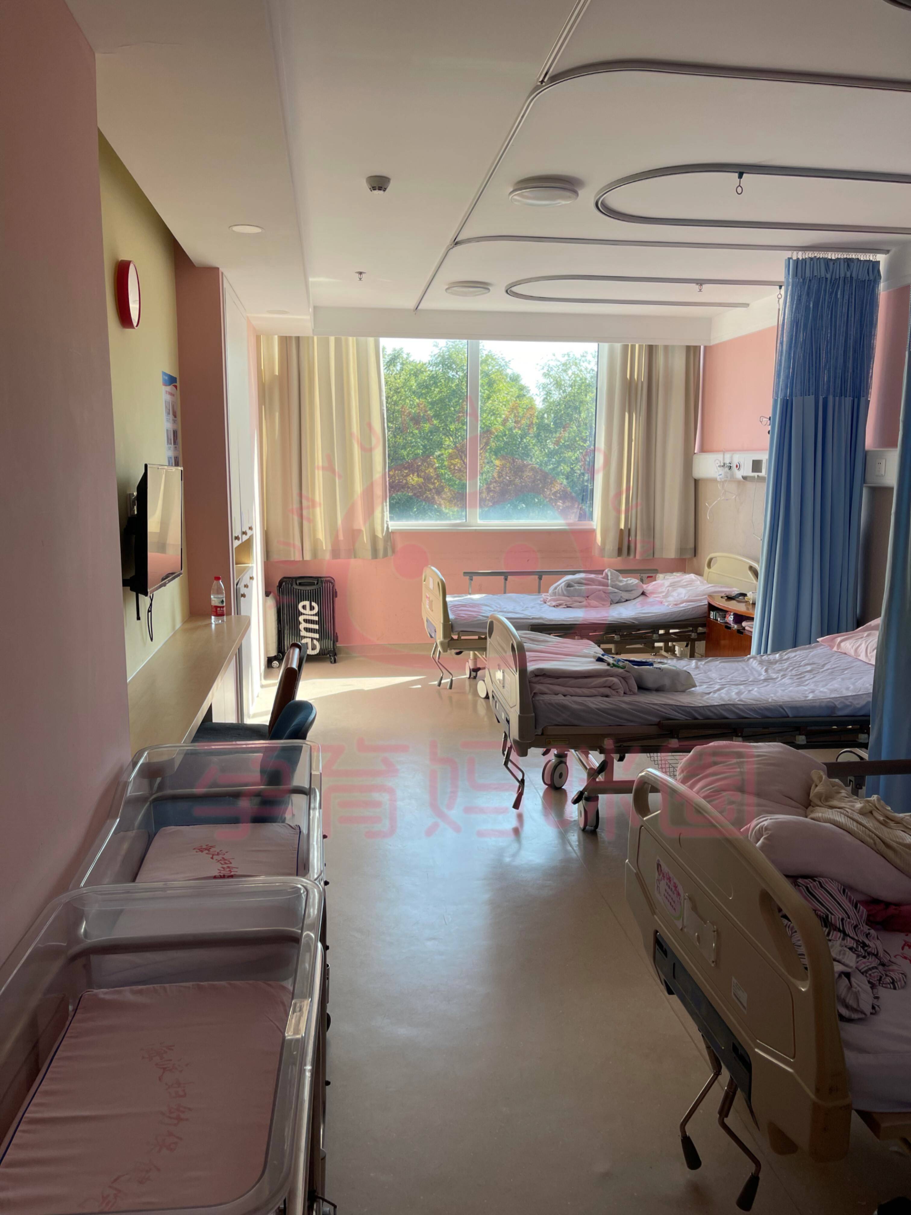 包含北京妇产医院门诊陪诊挂号服务院内所有事务全包,不用自己操心的词条 包含北京妇产医院门诊陪诊挂号服务院内所有事务全包,不用自己操心的词条